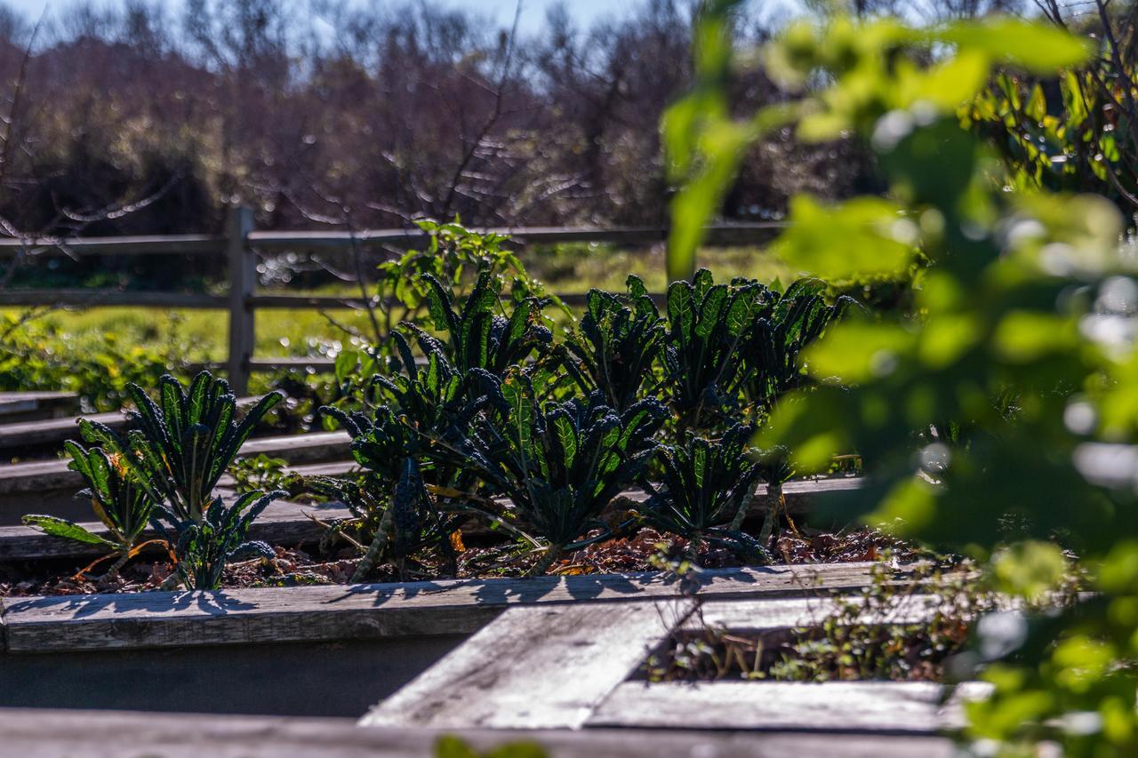 Waihi Beach Hotel エクステリア 写真